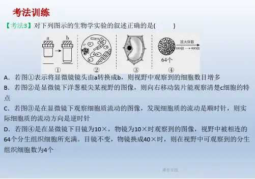 【学习方案】2020高考生物二轮复习第2章细胞的结构和功能课件_1_31-35