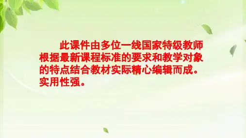 最新部编版人教初中化学九年级下册《第十单元 酸和碱(课件)》精品获奖优秀完美观摩课赛教课课件PPT