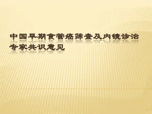 中囯早期食管癌筛查及内镜诊治ppt课件