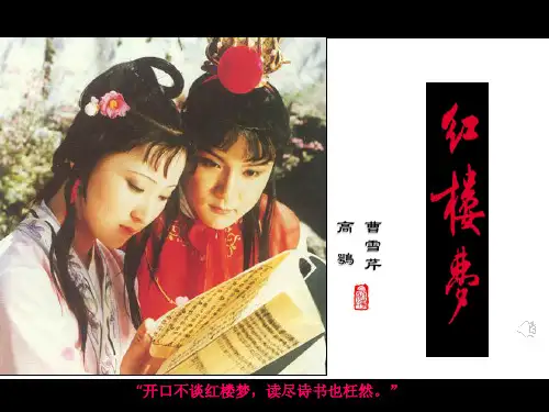 《红楼梦》前五回