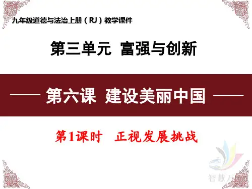 人教版道德与法治九年级上册 6.1 正视发展挑战 课件(共38张PPT)