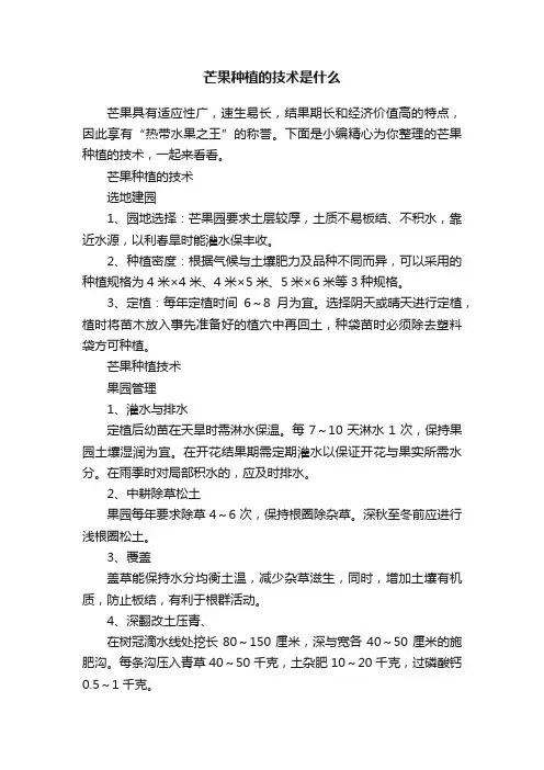 芒果种植的技术是什么