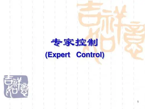 专家控制系统