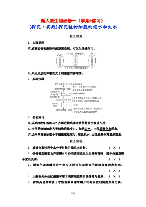 新人教生物必修一(学案+练习)(探究实践)探究植物细胞的吸水和失水