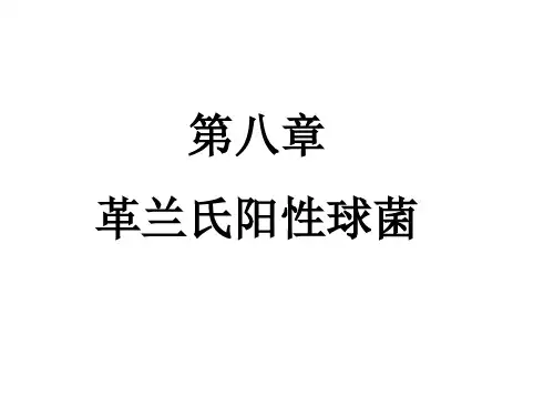 革兰氏阳性球菌