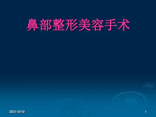 鼻部整形幻灯