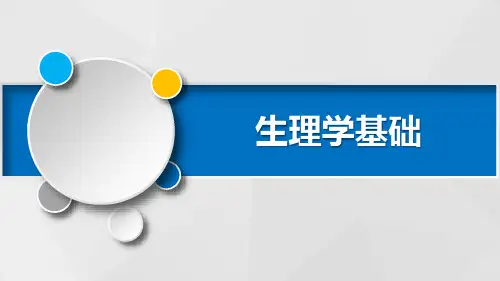 血液循环PPT课件