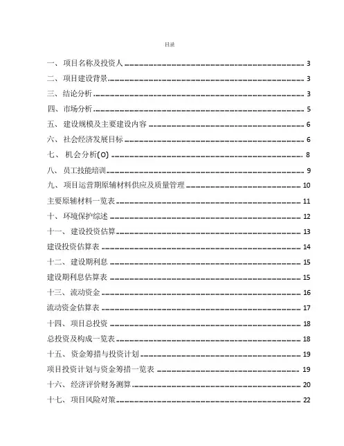 碳气凝胶项目投资计划与建设方案