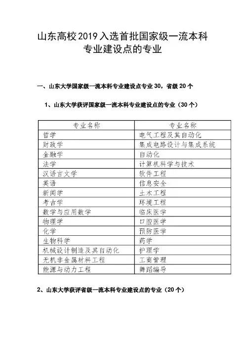 山东省一流本科专业入选名单