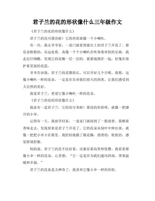 君子兰的花的形状像什么三年级作文
