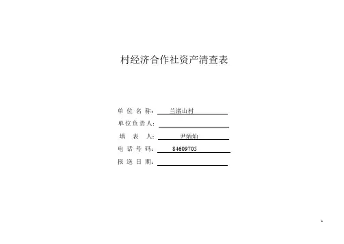 三资清查表格