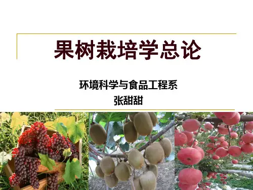 果树学  绪论解析