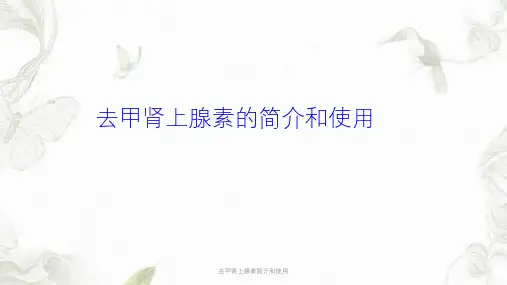 去甲肾上腺素简介和使用ppt课件