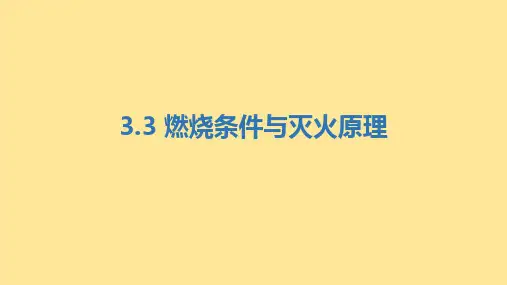 燃烧条件与灭火原理 2024-2025学年九年级化学科粤版上册
