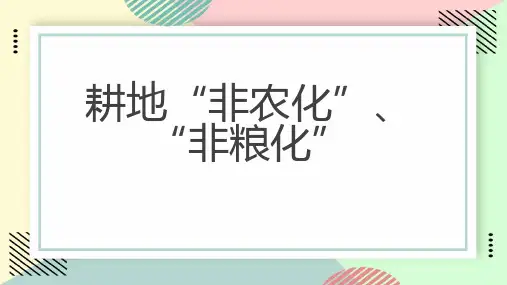 耕地非农化非粮化
