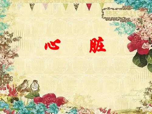 初中生物【物质运输的器官——心脏】优秀教学课件