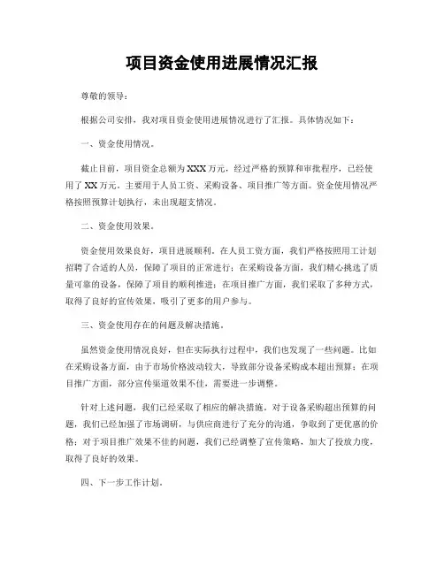 项目资金使用进展情况汇报