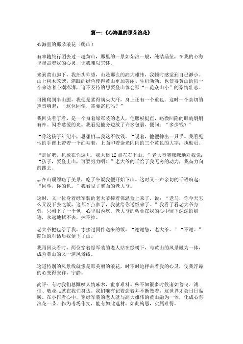 心海里的那朵浪花800字