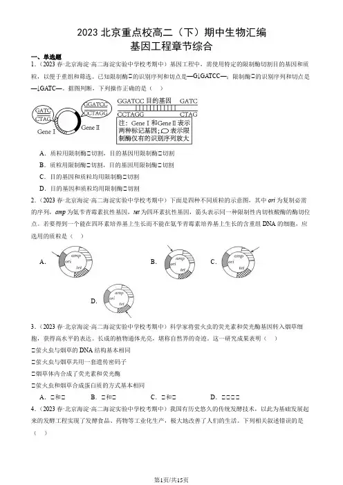 2023北京重点校高二(下)期中生物汇编：基因工程章节综合
