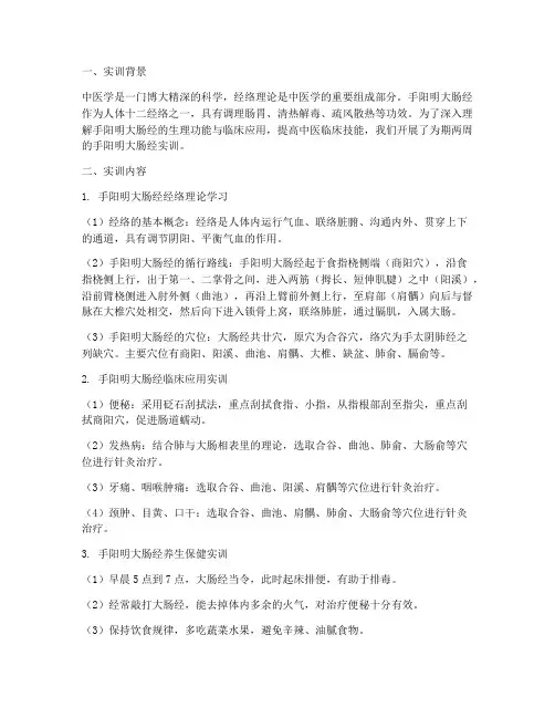 手阳明大肠经实训报告