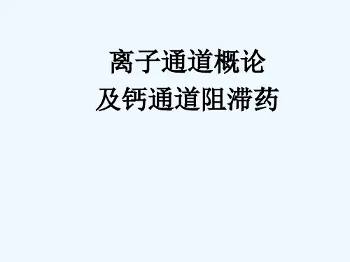 第二十一章钙拮抗药