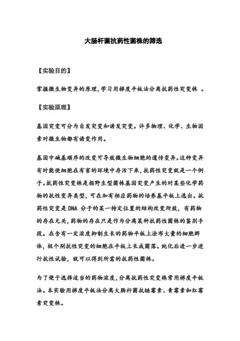 大肠杆菌抗药性菌株的筛选