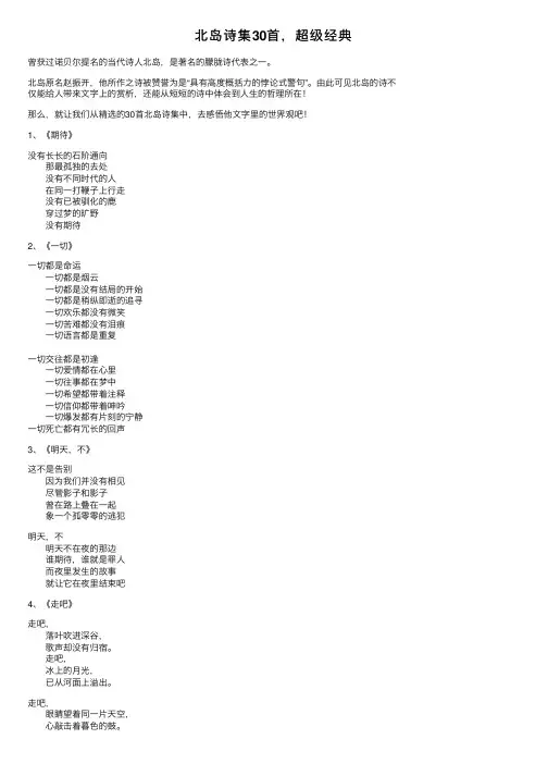 北岛诗集30首，超级经典