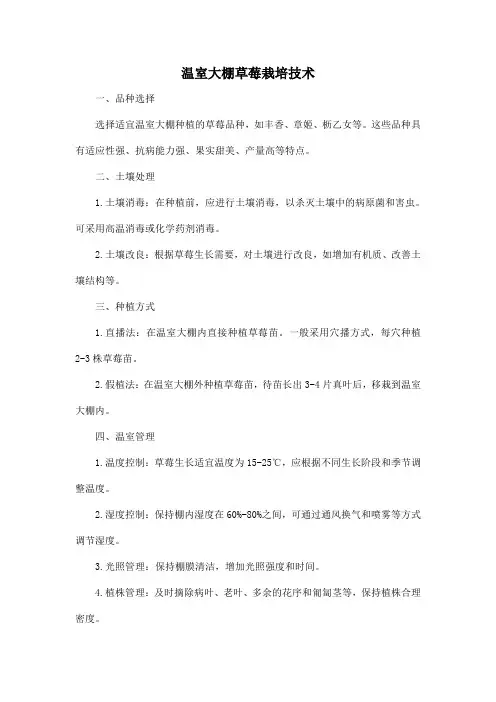 温室大棚草莓栽培技术
