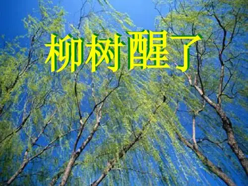 人教版小学一年级语文柳树醒了1(201908)