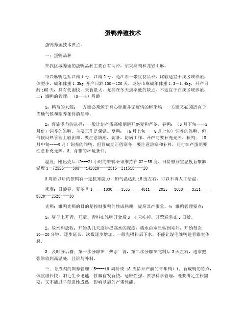 蛋鸭养殖技术
