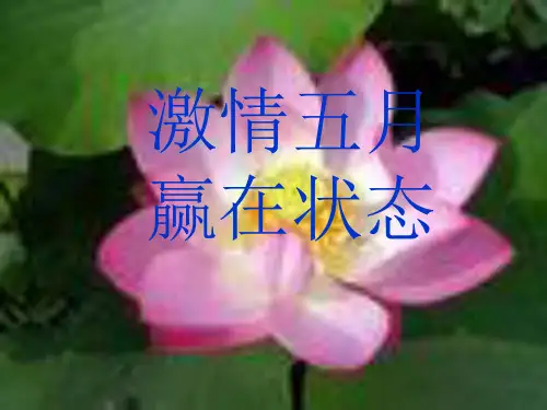 激情五月,绽放六月--高考前30天主题班会PPT教学课件
