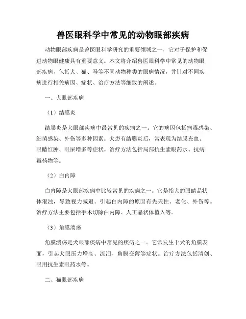 兽医眼科学中常见的动物眼部疾病
