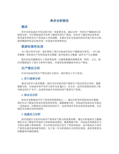 单井分析报告