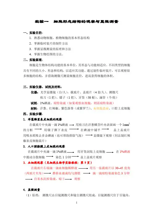 细胞形态结构的观察与显微测量