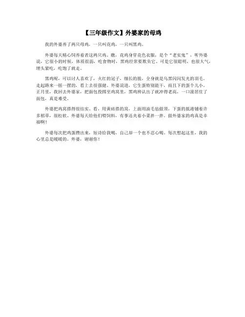 【三年级作文】外婆家的母鸡