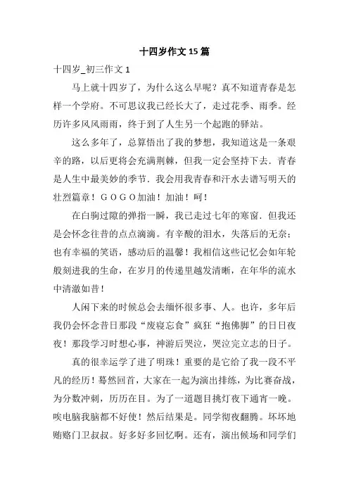 关于十四岁作文