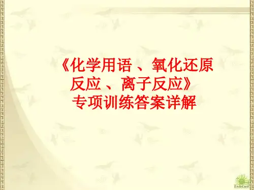 化学用语氧化还原反应离子反应专题答案详解教学课件