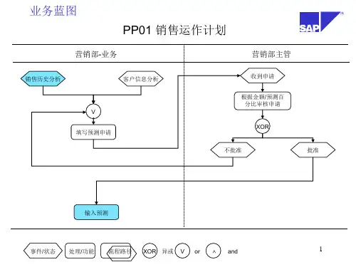 SAP业务蓝图PPT精选文档