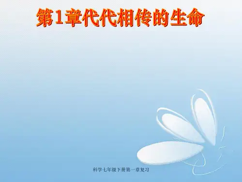科学七年级下册第一章复习