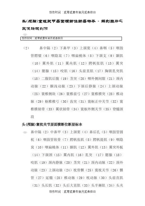 头颅横切面断层解剖