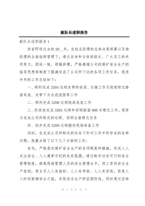 副队长述职报告