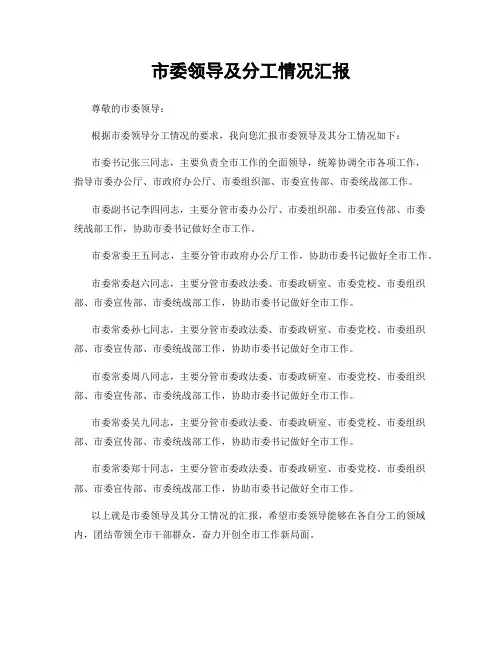 市委领导及分工情况汇报