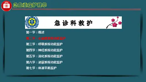 16急危重症护理学-第四章心血管系统功能监护