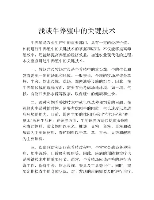 浅谈牛养殖中的关键技术