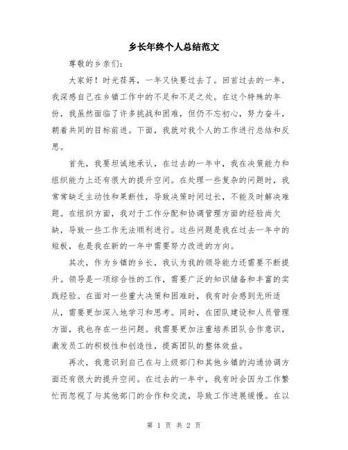 乡长年终个人总结范文