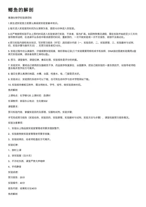 鲫鱼的解剖——精选推荐