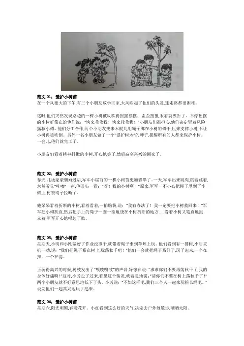 二年级语文看图写话范文《爱护小树苗》9篇