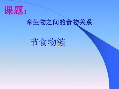 食物链PPT课件4
