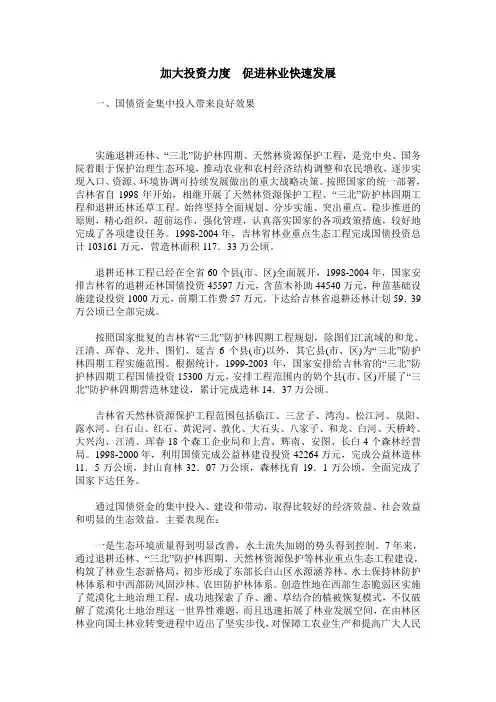 加大投资力度 促进林业快速发展