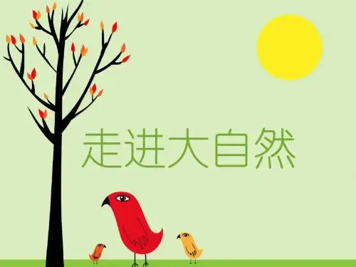 新版1粤教版一年级科学上册课件.走进大自然